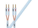 XL Annorum LS Single-Wire